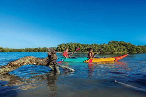 Ilha Holbox: Explora praias, lagoas e ilhas de aves