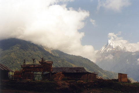 Z Pokhary: prywatna 3-dniowa pętla trekkingowa do Ghandruk