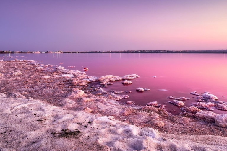 From Alicante: Excursion to Pink Lake & Tabarca Island