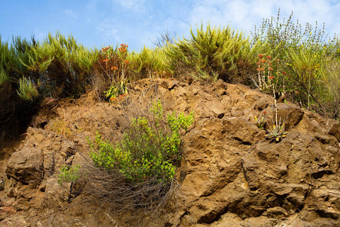 Los Angeles: "Batcaves" Cultural History & Ecology Tour