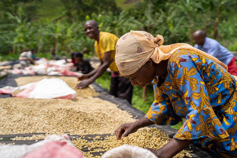 卢旺达传统与现代饮品之旅