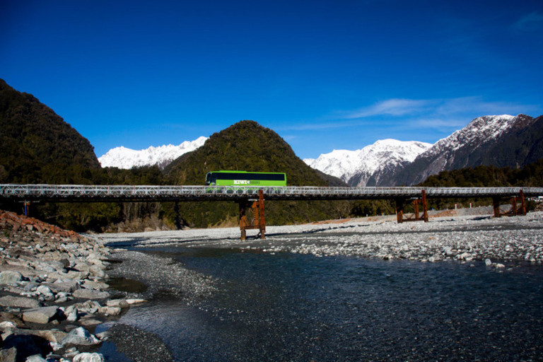 New Zealand: National Hop-On Hop-Off Pass Kea