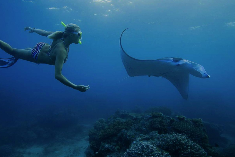 Nusa Penida: Full Day Private Snorkeling With Manta Ray Meeting point at Toya Pakeh Harbour, Nusa Penida