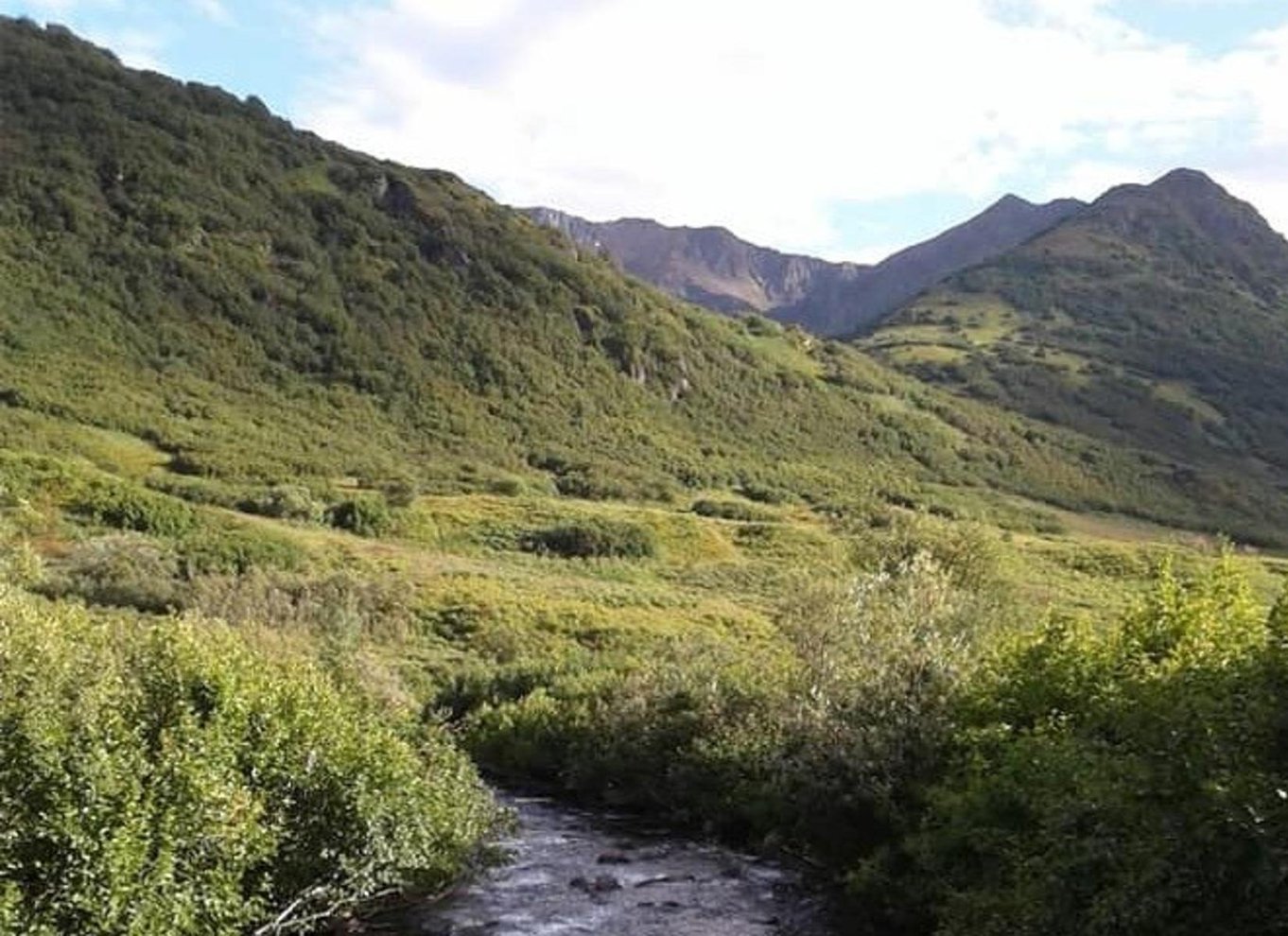 Hatcher Pass og rensdyr-eventyr – afhentning ved ankerplads