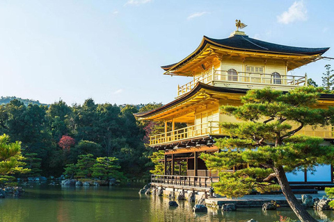 Kioto/Osaka: excursión de un día a los lugares de interés histórico de Kioto y Nara