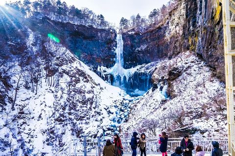 From Tokyo: Nikko Toshogu Shrine and Lake Chuzenji Day Trip Private Sightseeing Tours