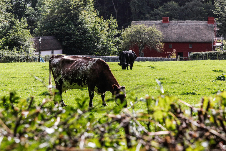 Cardiff: Bay Trail, St Fagans & Cathedral Half Day Tour
