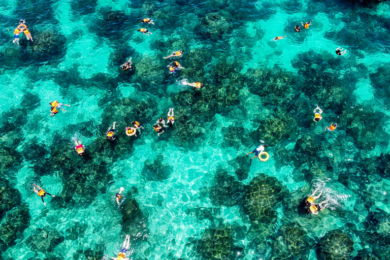 Phuket: Maya, Phi Phi e Isla de Bambú con Almuerzo BuffetExcursión de un día desde el Punto de Encuentro, incluida la Tasa del Parque Nacional