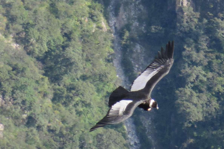 Chonta Viewpoint, Tarawasi &amp; Killarumiyoq Wycieczka prywatna