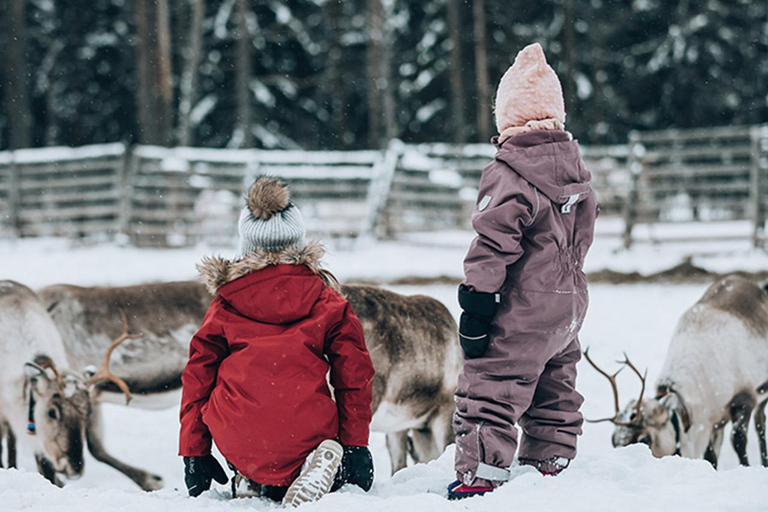 Reindeer Sleigh Ride and Farm tour to feed the reindeer