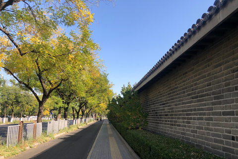 Beijing Private Temple of Heaven Tour