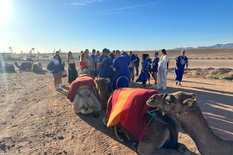 Sunset Camel Ride in Desert &amp; Palm Grove with Tea &amp; Transfer