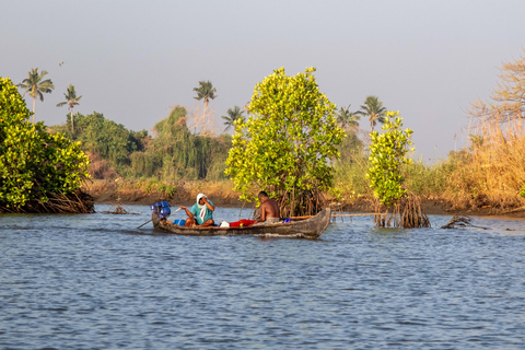 Kochi: Private Island Hopping Tour