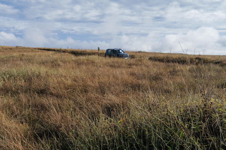 From São Paulo: 5-Day Serra da Canastra Wildlife Safari