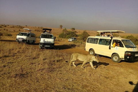 From Nairobi: National Park & Maasai Mara Safari Guided Tour