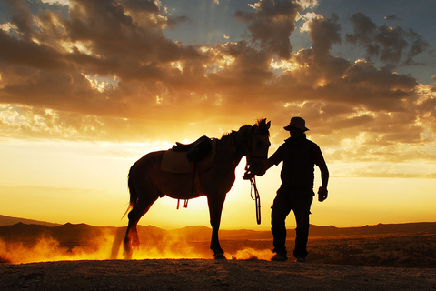 Horse Riding Cappadocia- Cappadocia Horse FarmHorse Riding Cappadocia