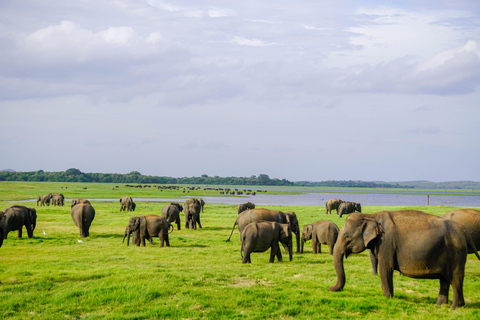 Kaudulla Wildlife & Landscape Photography Expedition
