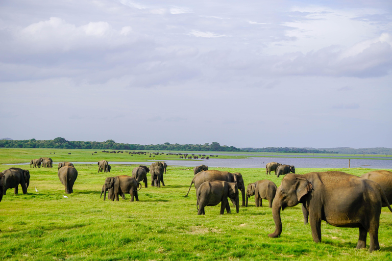 Kaudulla Wildlife & Landscape Photography Expedition
