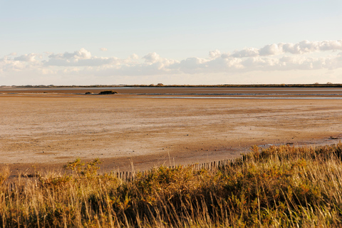 Aigues-Mortes 3H: Discover the secret Camargue in a 4x4 Full-Day