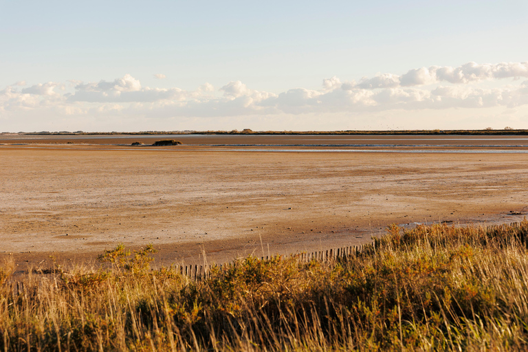 Aigues-Mortes 3H: Discover the secret Camargue in a 4x4 Full-Day