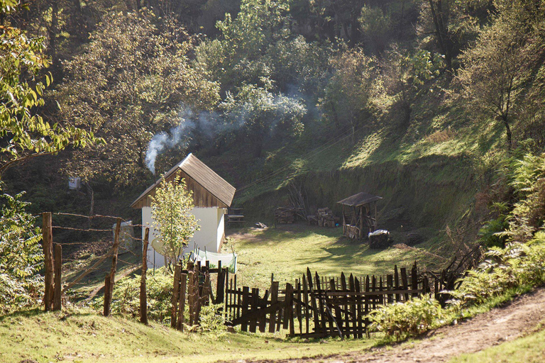 Baku: Southern Azerbaijan Hot Springs and Nature Tour 1-Day Lankaran Hot Springs Tour – Standard (No Meals)