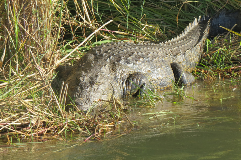 维多利亚瀑布：直升机飞行与野生动物Safari组合维多利亚瀑布：直升机飞行与野生动物Safari组合游