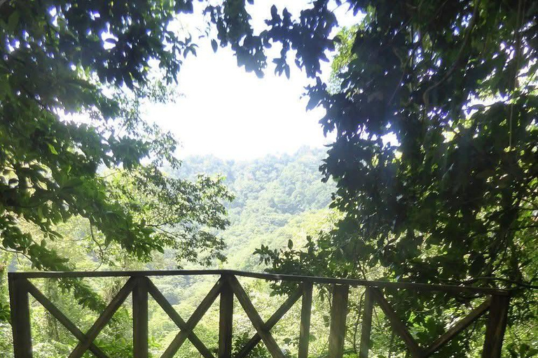 St. Vincent: Rainforest & Beach Guided Tour with Pickup