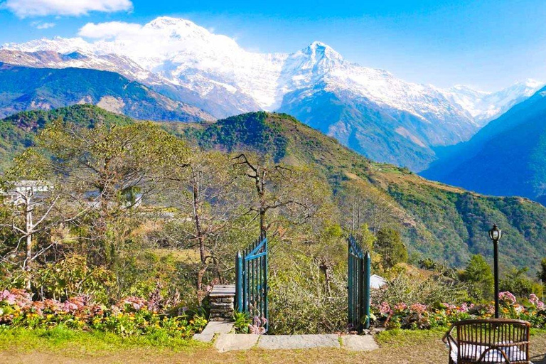 From Pokhara: Short 1 Night 2 Day Ghorepani Poon Hill Trek