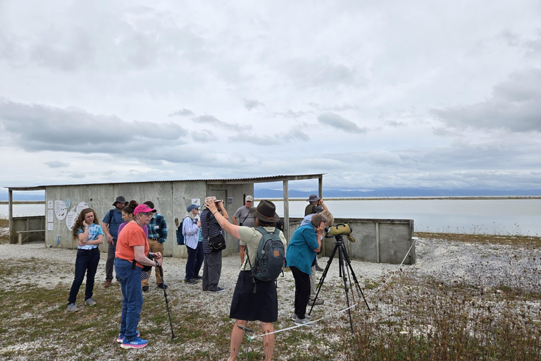 Auckland: Birdwatching, Hiking & Waterfalls Tour