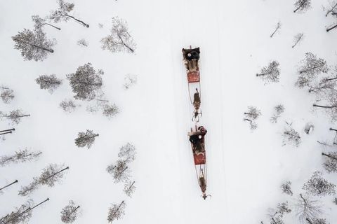 Rovaniemi: Winter Adventure Reindeer Safari