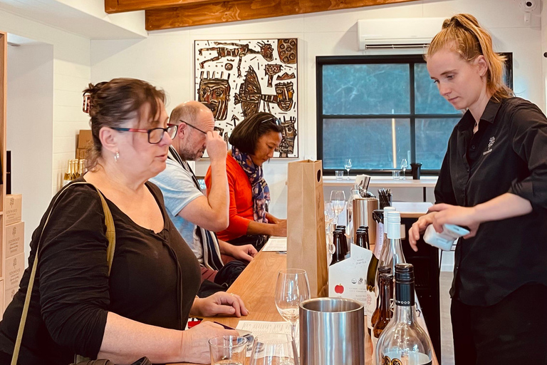 Tour del vino della McLaren Vale e del centro storico di Hahndorf