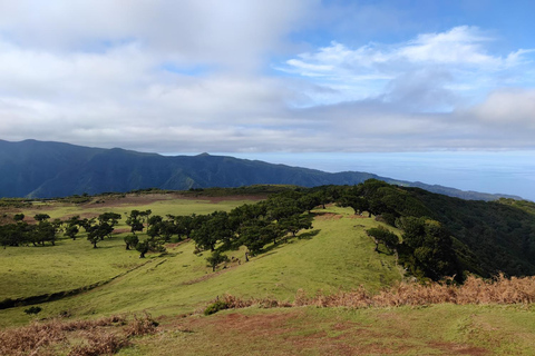 Fanal - Hike in Fanal in a different way