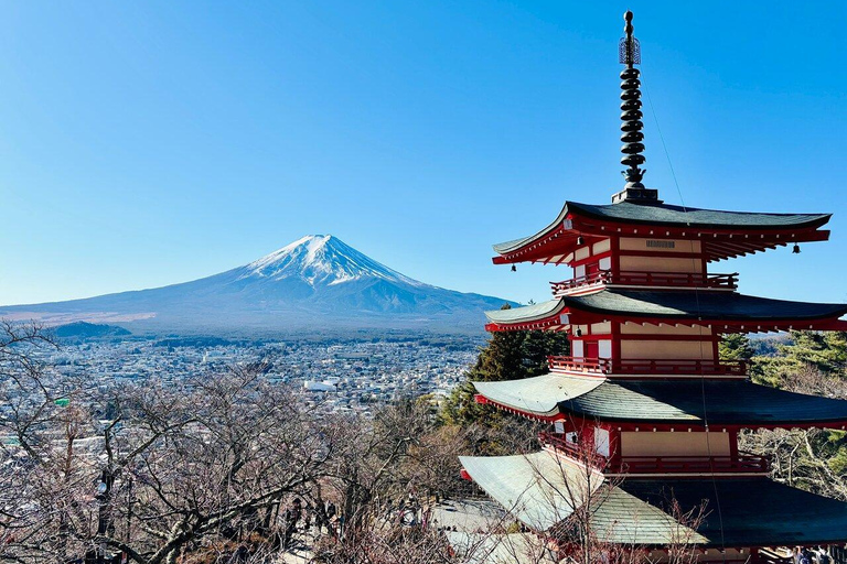 MOUNT FUJI FULL DAY CUSTOMIZED PRIVATE (ENGLISH GUIDED) TOUR