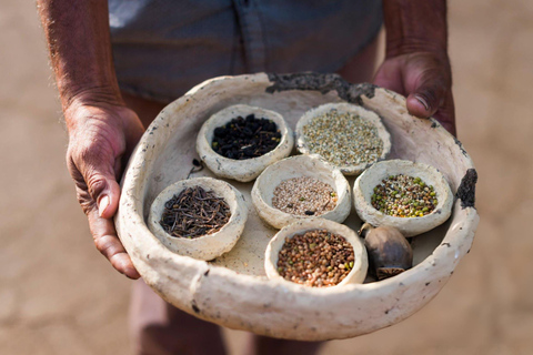 Royal Rajasthani Thali & Family Cooking Class in Udaipur