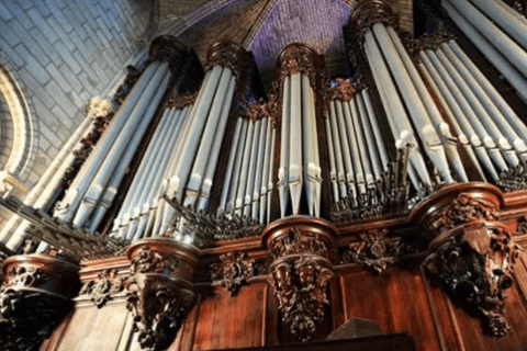 Early Access Notre-Dame Cathedral Guided Tour