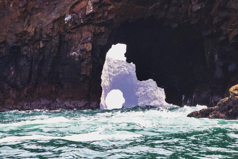 Full Day Paracas and Ballestas Islands