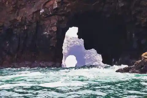 Dia inteiro nas ilhas Paracas e Ballestas