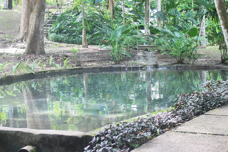 Turbaco: Experience the Botanical Garden