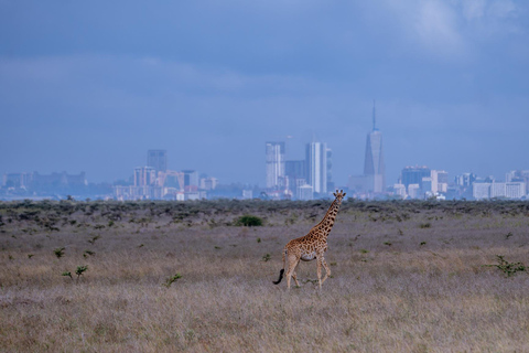 Nairobi: National Park Game Drive with Local Guide