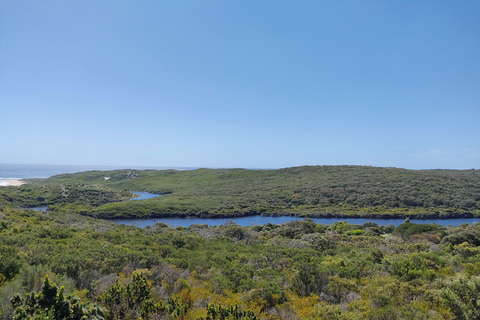 From Perth: Margaret River Premium Wine & Nature Escape
