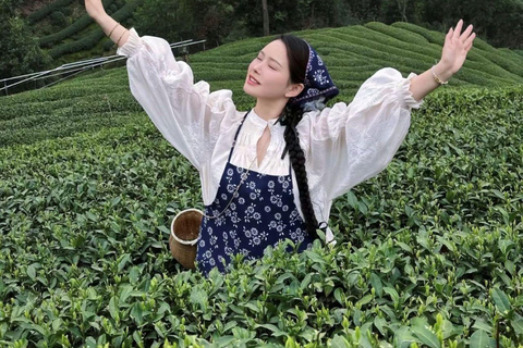 Hangzhou: Meijiawu Tea Picking, Roasting, Tasting Experience