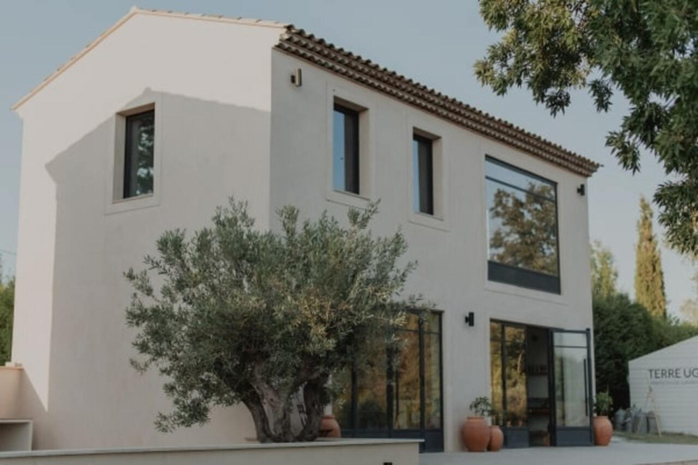 Aix-en-Provence: Visit a Lavender Field + Snacking at TERRE UGO Aix-en-Provence: Visit a Lavender Field + Snacking TERRE UGO