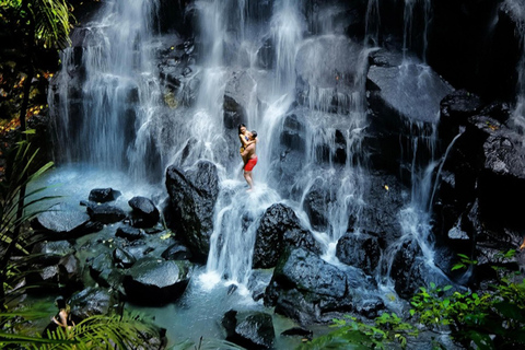 Ubud: Monkey Forest, Rice Terrace, Waterfall Private Tour Private Tour Without Entry Tickets