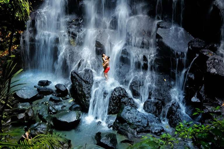 Ubud: Monkey Forest, Rice Terrace, Waterfall Private Tour Private Tour Without Entry Tickets