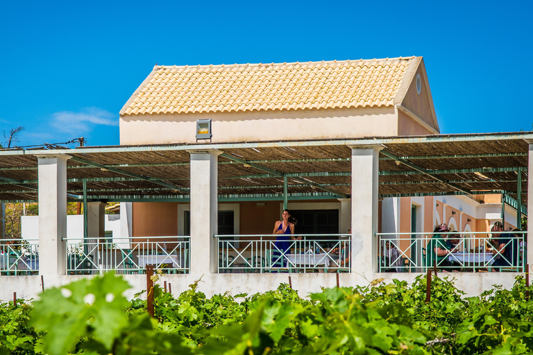 Rhodes: Filerimos & Valley of the Butterflies & Wine Tasting Tour With Pick up From FALIRAKI & KALLITHEA