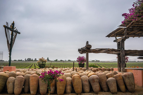 From Ica: Excursion to Wineries - Along the Pisco Route