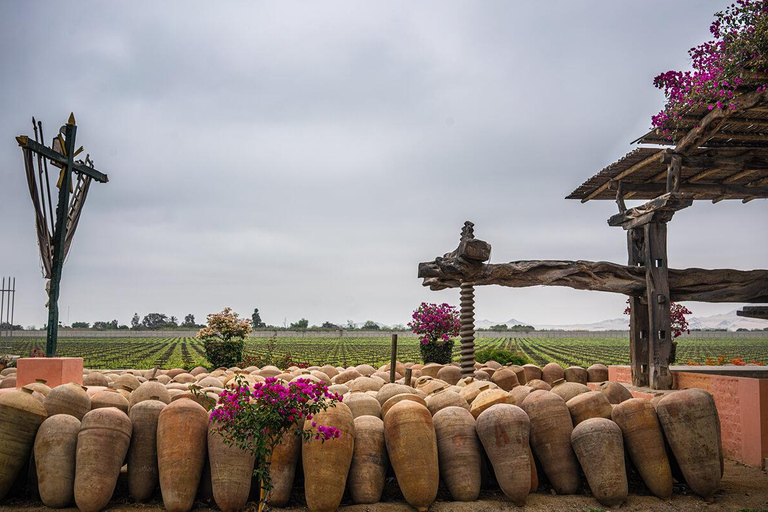 From Ica: Excursion to Wineries - Along the Pisco Route