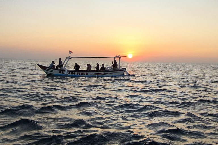 Pemuteran: Dolphin Watching Tour with Hotel Transfer