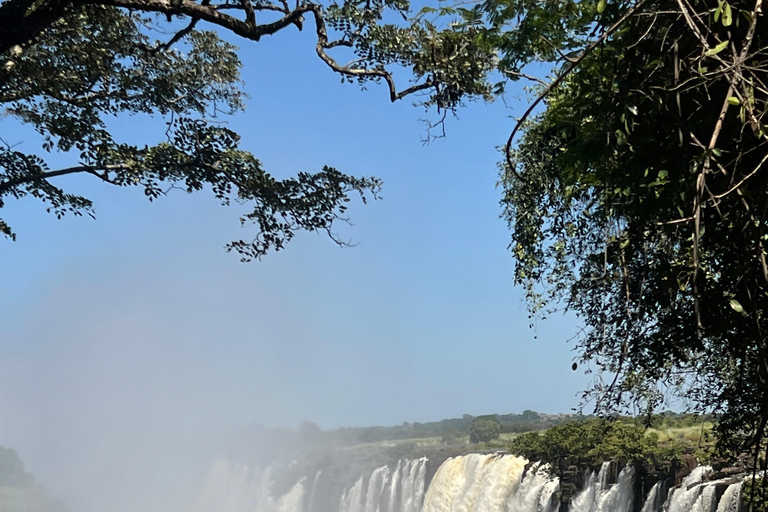 Victoria Falls Ultimate Two-Country Guided Walking Tour Victoria Falls: Guided Heritage Tour with 2 Countries