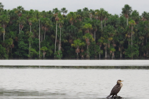 De Puerto Maldonado || Caminhada na selva + Lago Sandoval ||